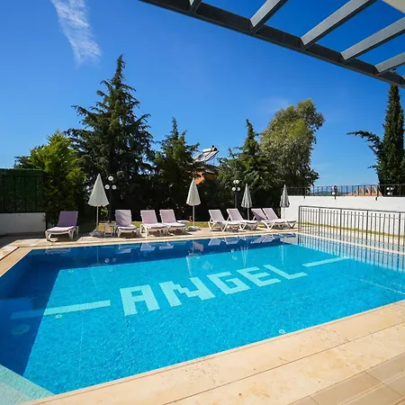 Celebrity B * 페티예