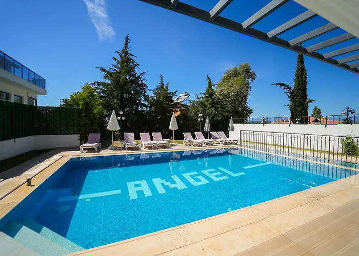 Celebrity B * 페티예