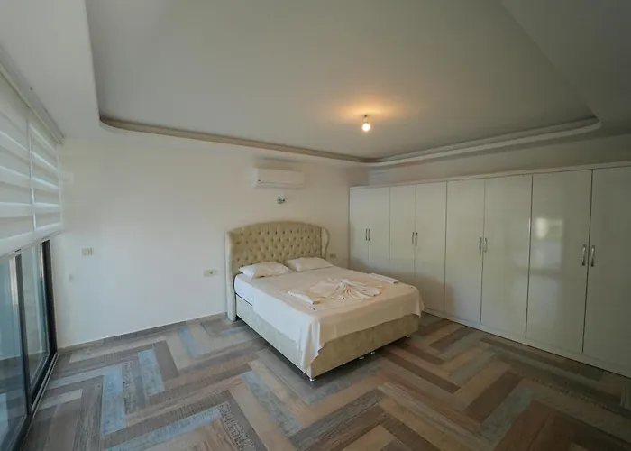 Celebrity B 페티예