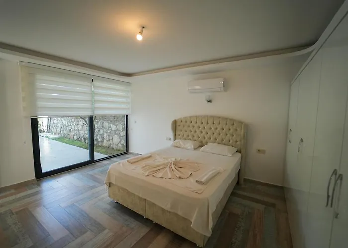 Celebrity B * 페티예